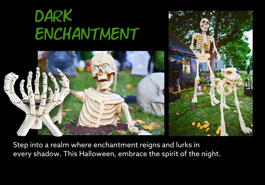 Shop the Collection Dark Enchantment