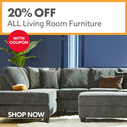 Big Lots! BIG Deals on Everything for Your Home!