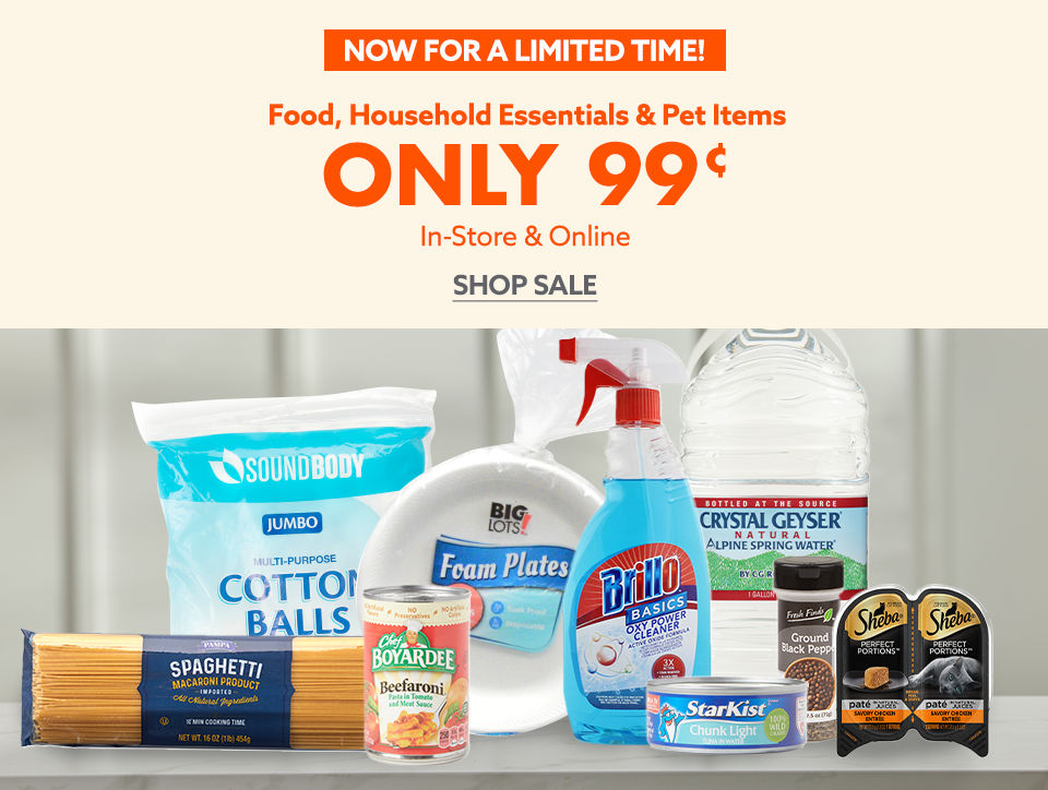 Big Lots! BIG Deals on Everything for Your Home!