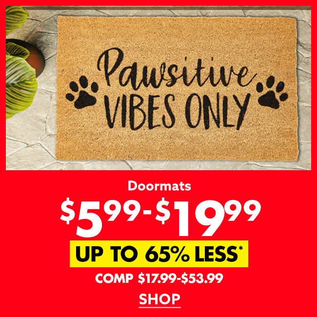 Big Lots! BIG Deals on Everything for Your Home!