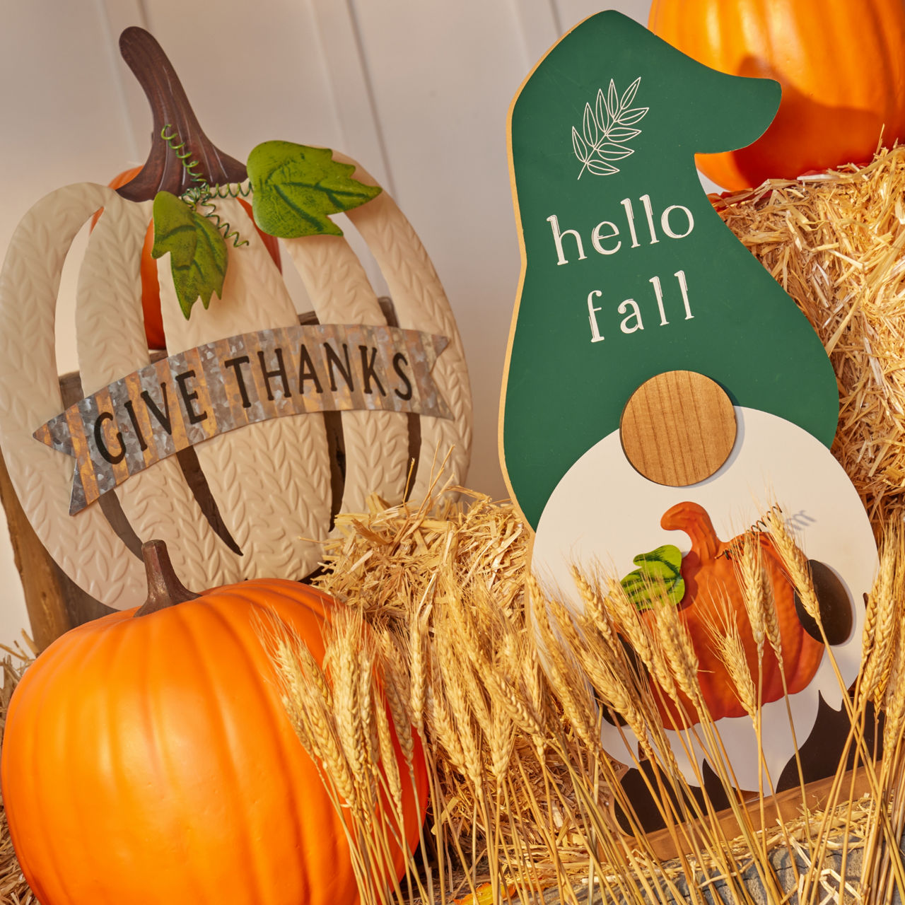 Pumpkin Varieties Fall Kitchen Towel Gift - Fall Decor Flour Sack