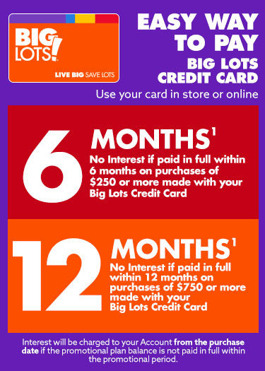 Big Lots Credit Card   090721 Site BLCC 375x525 Hero