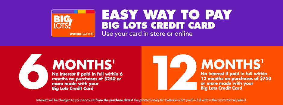 Big Lots Credit Card   0907221 Site BLCC 940x350 Hero