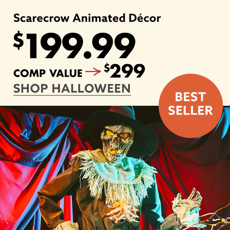 Animated Decor $199.99