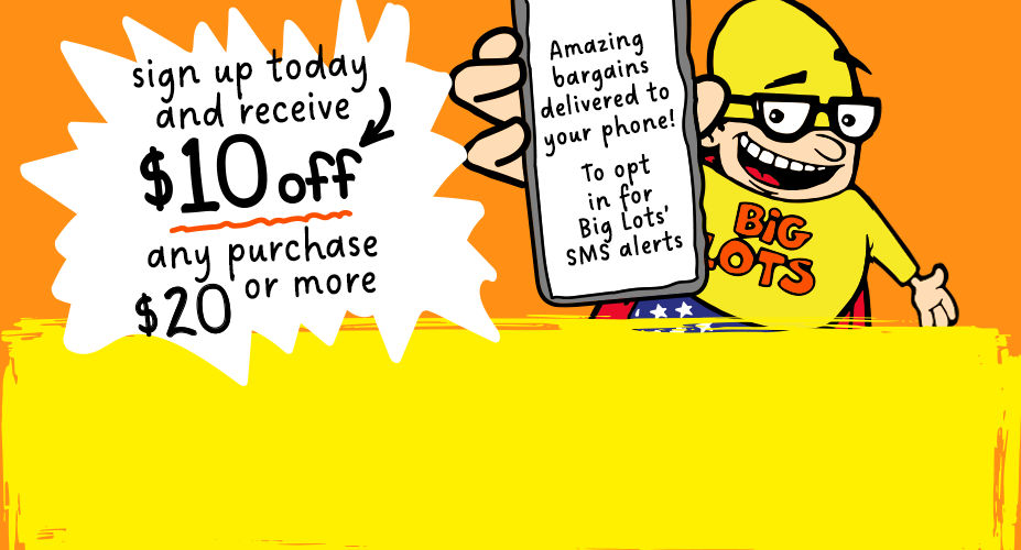 Big Lots! BIG Deals on Everything for Your Home!