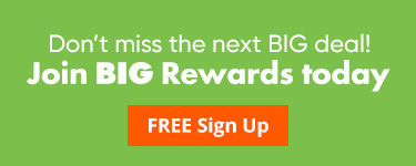 Big lots black friday deals ad 2020