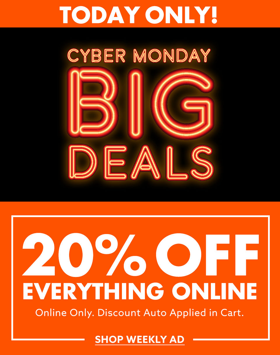 Big Lots! BIG Deals on Everything for Your Home!