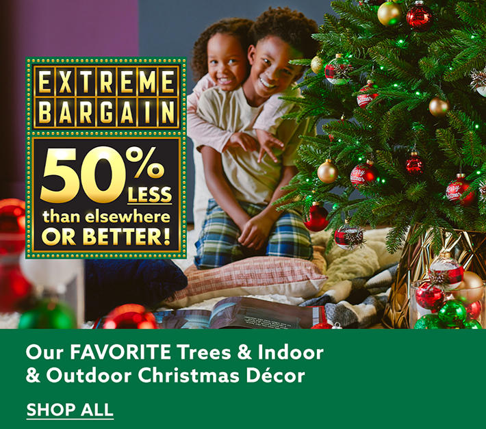 Extreme Bargain 50% Less than elsewhere or better! Our Favorite Trees & Indoor & Outdoor Christmas Decor - Shop All