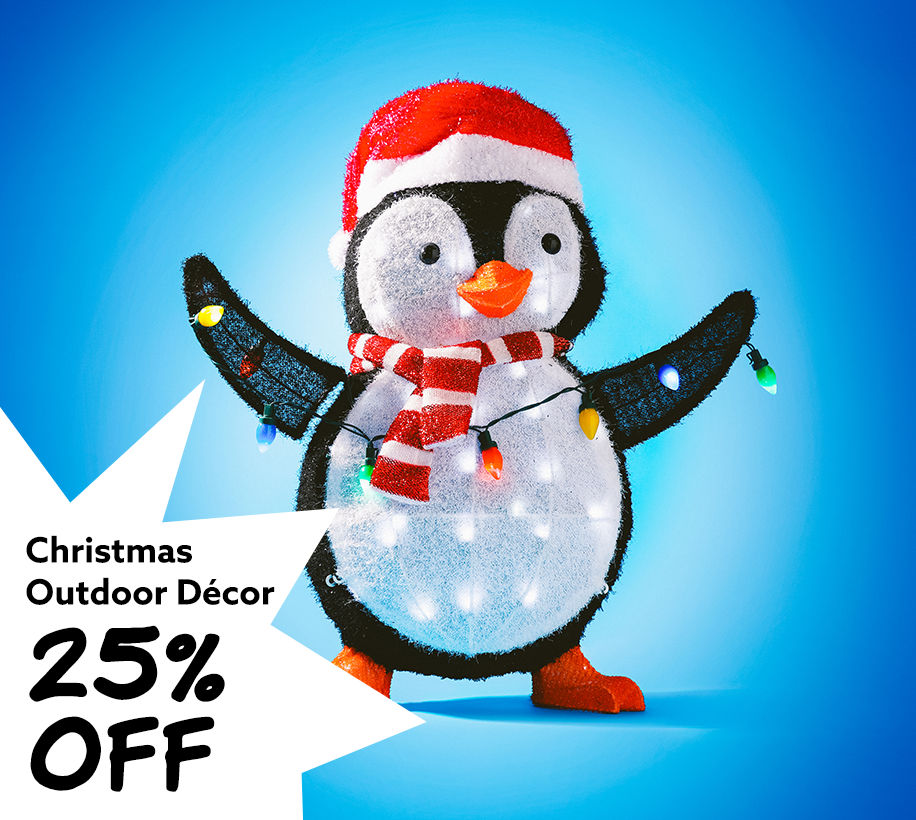 Christmas Outdoor Decor 25% Off