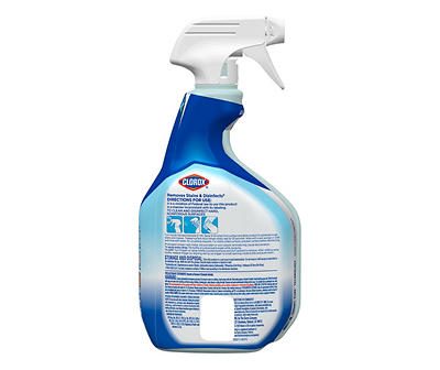 Clean-Up Rain Clean All Purpose Cleaner Spray, 32 Oz.