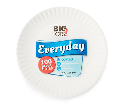 9" BIG LOTS WHITE UNCOATED PAPER PLATE 100 COUNT