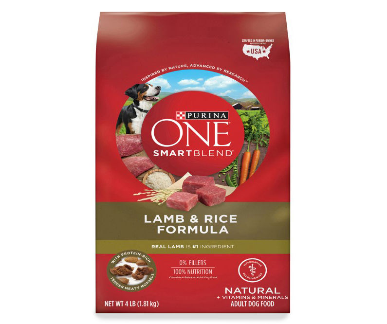 Purina ONE SmartBlend Lamb Rice Dog Food 4 Lbs. Big Lots