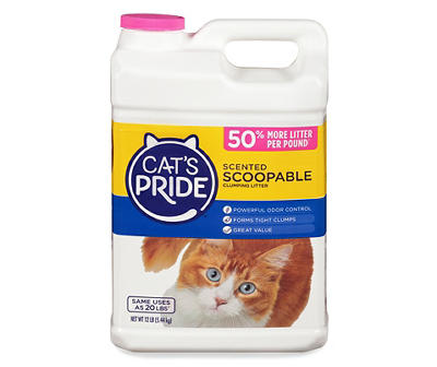 Cat's Pride Scented Scoopable Clumping Litter 12 lb. Jug
