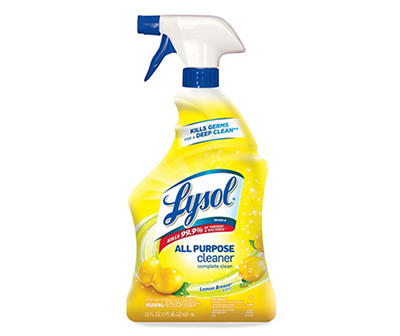 All Purpose Cleaner Spray, Lemon Breeze, 22 Oz.
