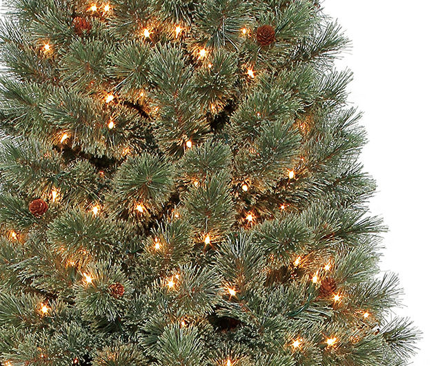 acre Presentator Overeenkomend Winter Wonder Lane 7.5' Park City Cashmere Pre-Lit Artificial Christmas Tree  with Clear Lights | Big Lots
