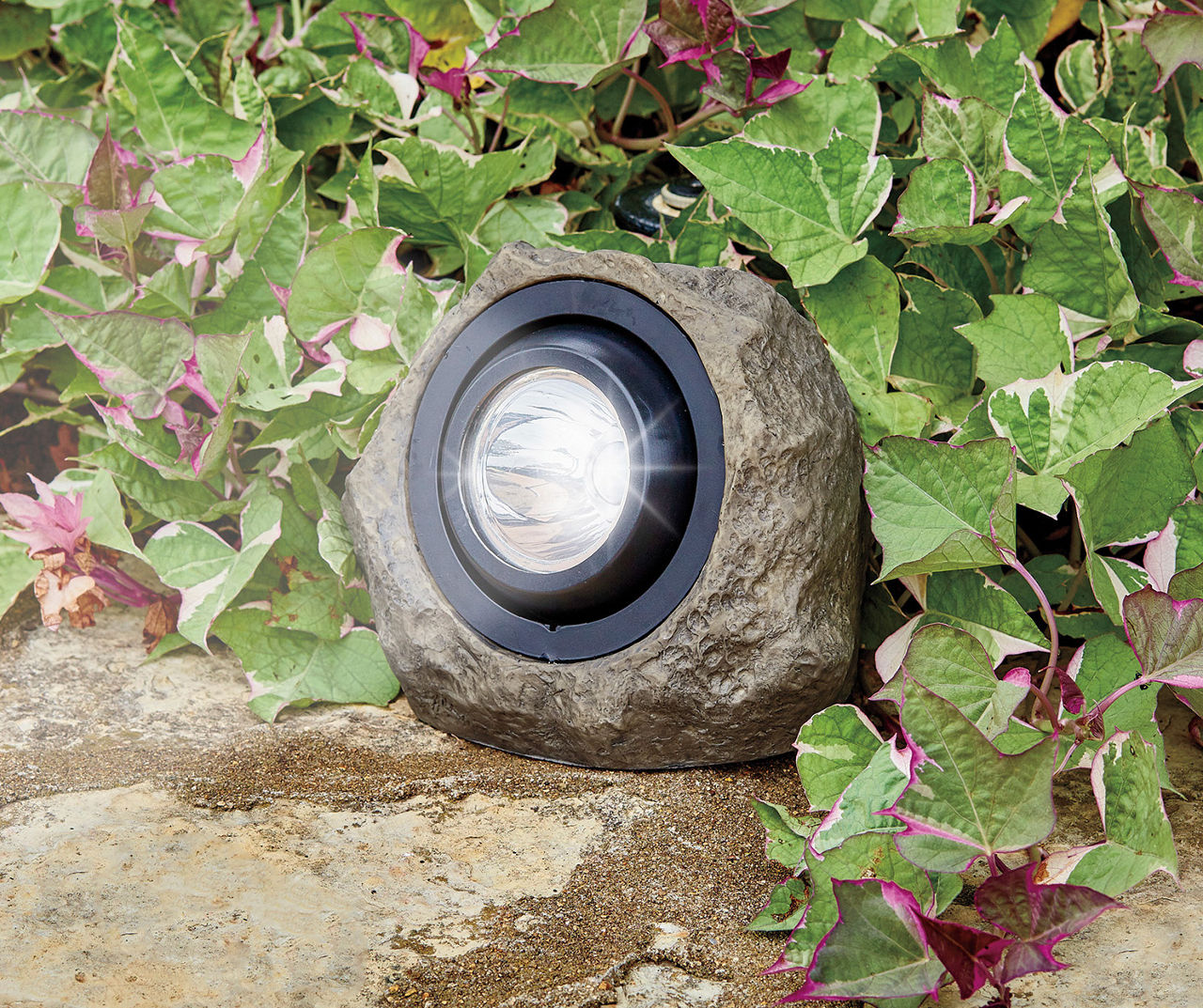 Solar spotlight - Gard & Rock