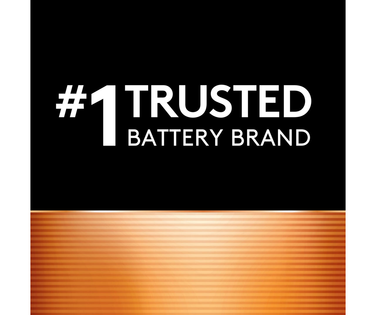 Coppertop AAA Alkaline Batteries, 10-Count