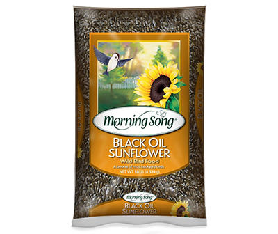 Black Oil Sunflower Wild Bird Food, 10 Lbs.