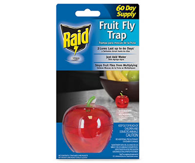 Fruit Fly Trap, 1-Count