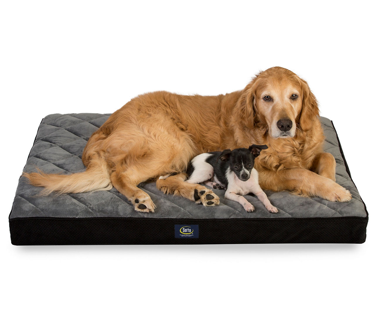 Serta ortho dog outlet bed