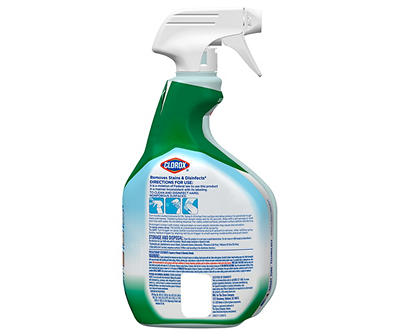 Clean-Up All Purpose Cleaner with Bleach, Spray Bottle, Original, 32 Oz.