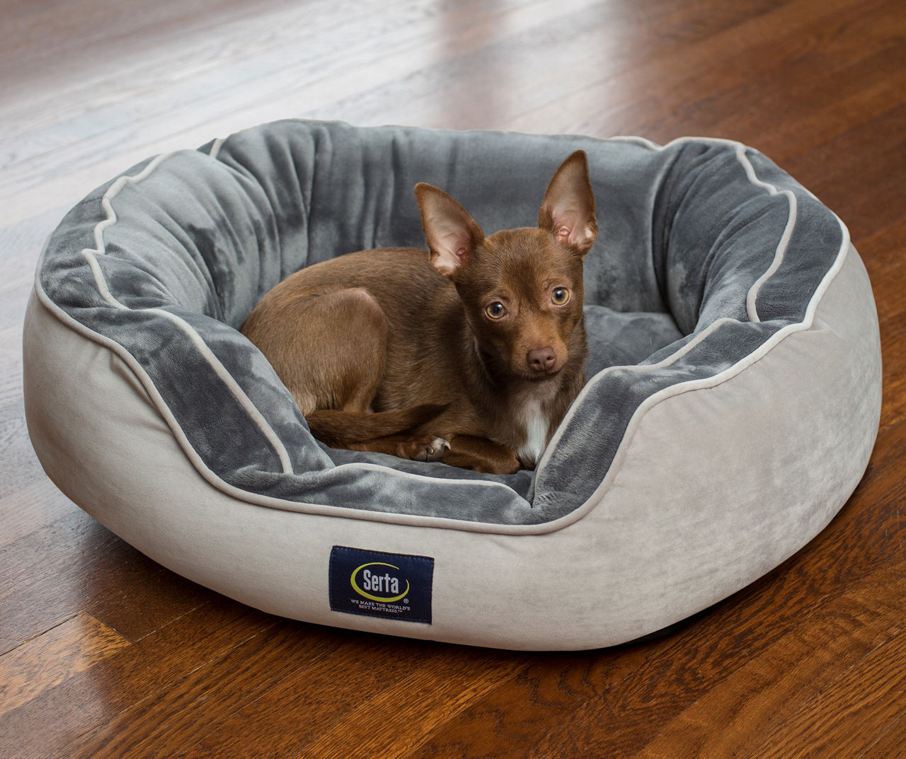 Serta memory foam outlet dog bed