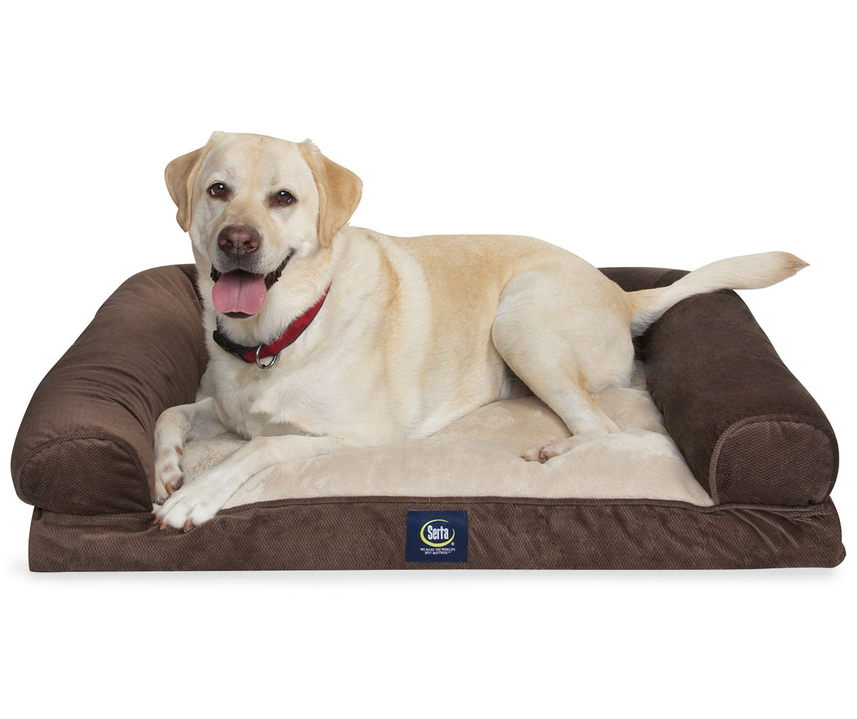 Serta dog store bed big lots