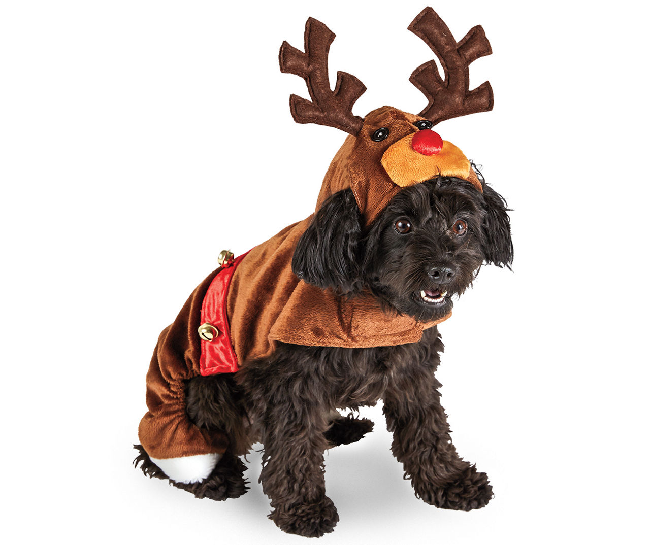 Large dog shop reindeer costume