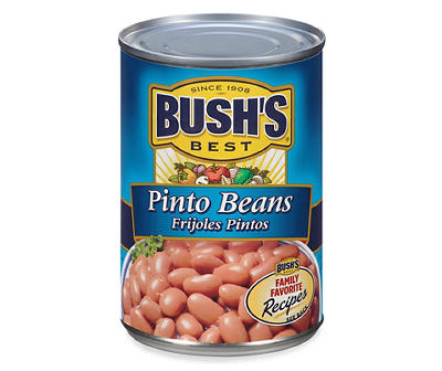 Bush's Best Pinto Beans 16 oz. Can