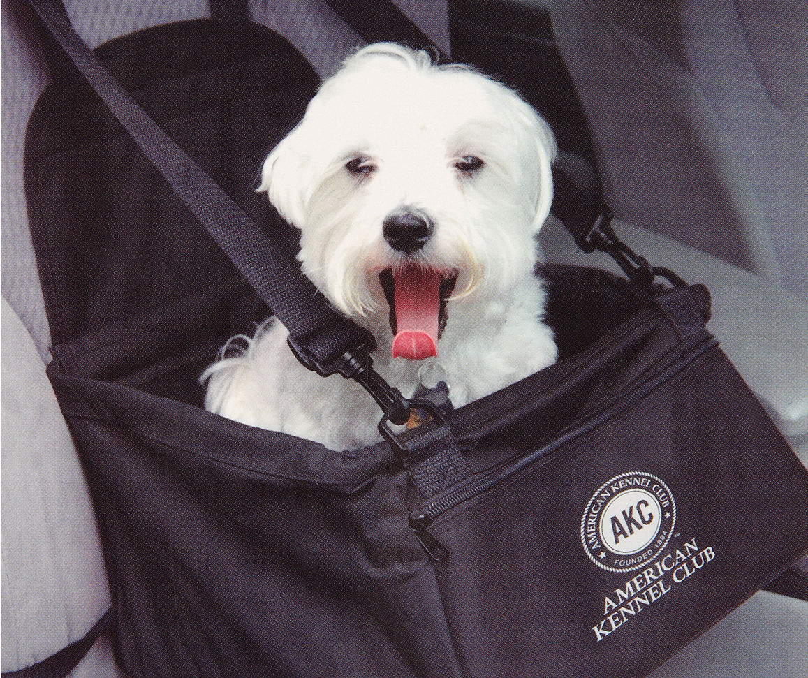 American kennel club outlet booster seat