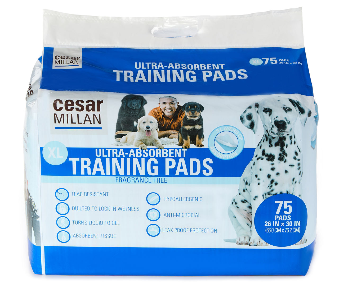 Family dollar store puppy training pads