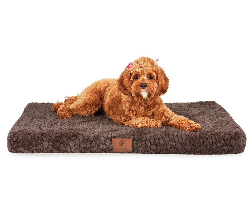 Big lots dog beds best sale