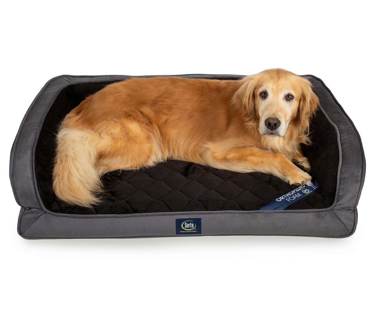 Serta hotsell dog bed