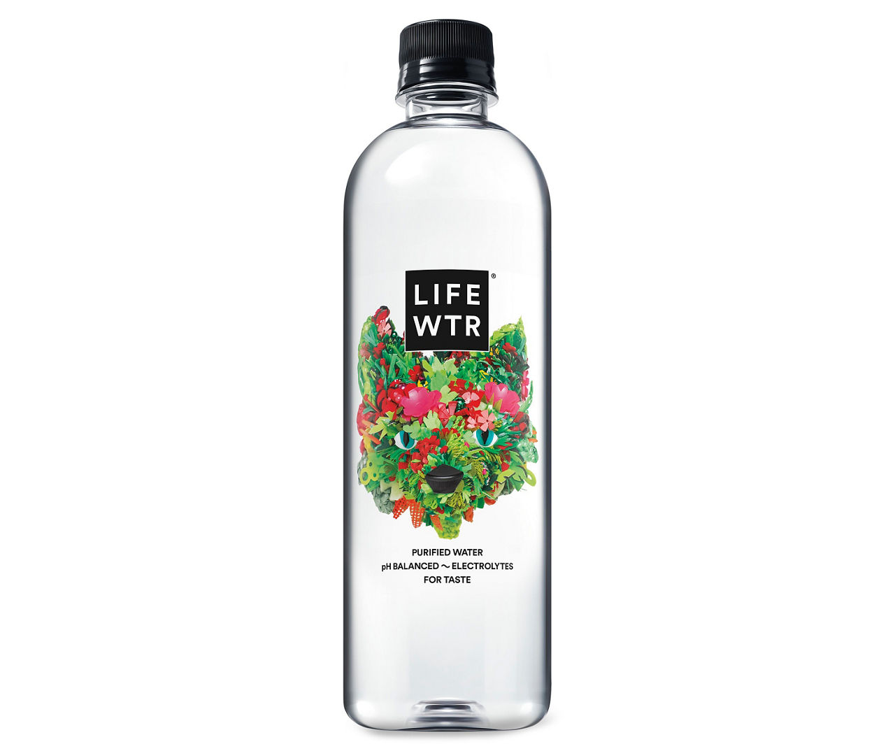 Lifewater Lifewtr Purified Water 20 Fl Oz Big Lots