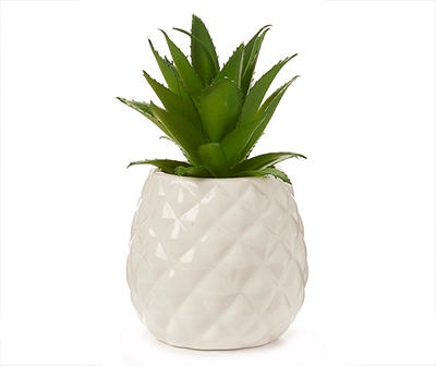 Succulent Plant in Pineapple Pot
