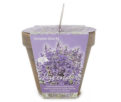Lavender Grow Kit with Terra-Cotta Pot