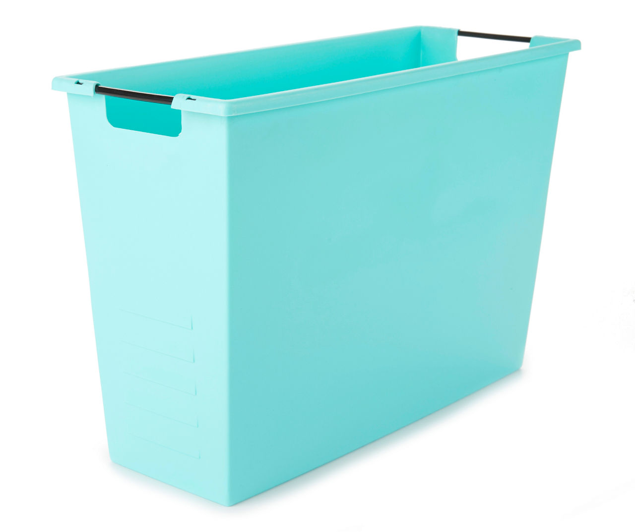 Agave Magazine Storage Box Big Lots