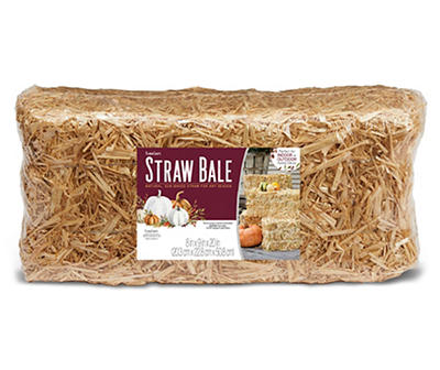 FloraCraft Straw Bale Decor, (8" x 20")