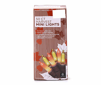 Orange & Yellow Mini Light Set, 50-Lights