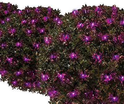 Purple Mini Net Light Set, 100-Lights