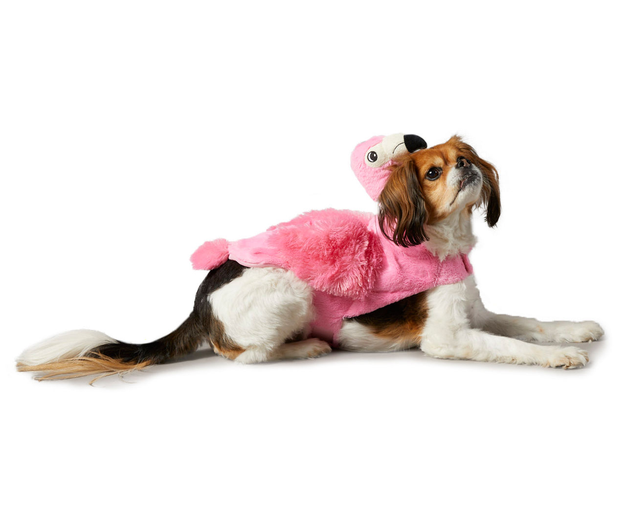 Dog flamingo costume best sale