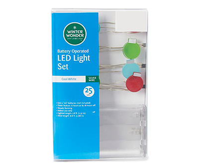 Cool White Ornament Battery-Operated LED Light Set, 25-Lights