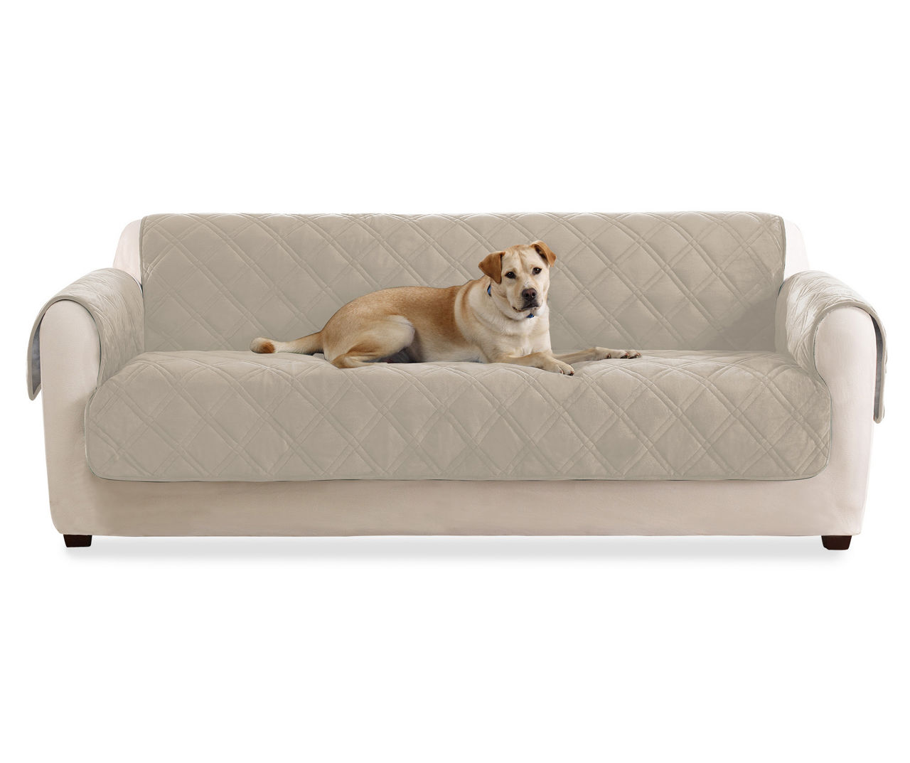 Sure fit outlet dog couch cover