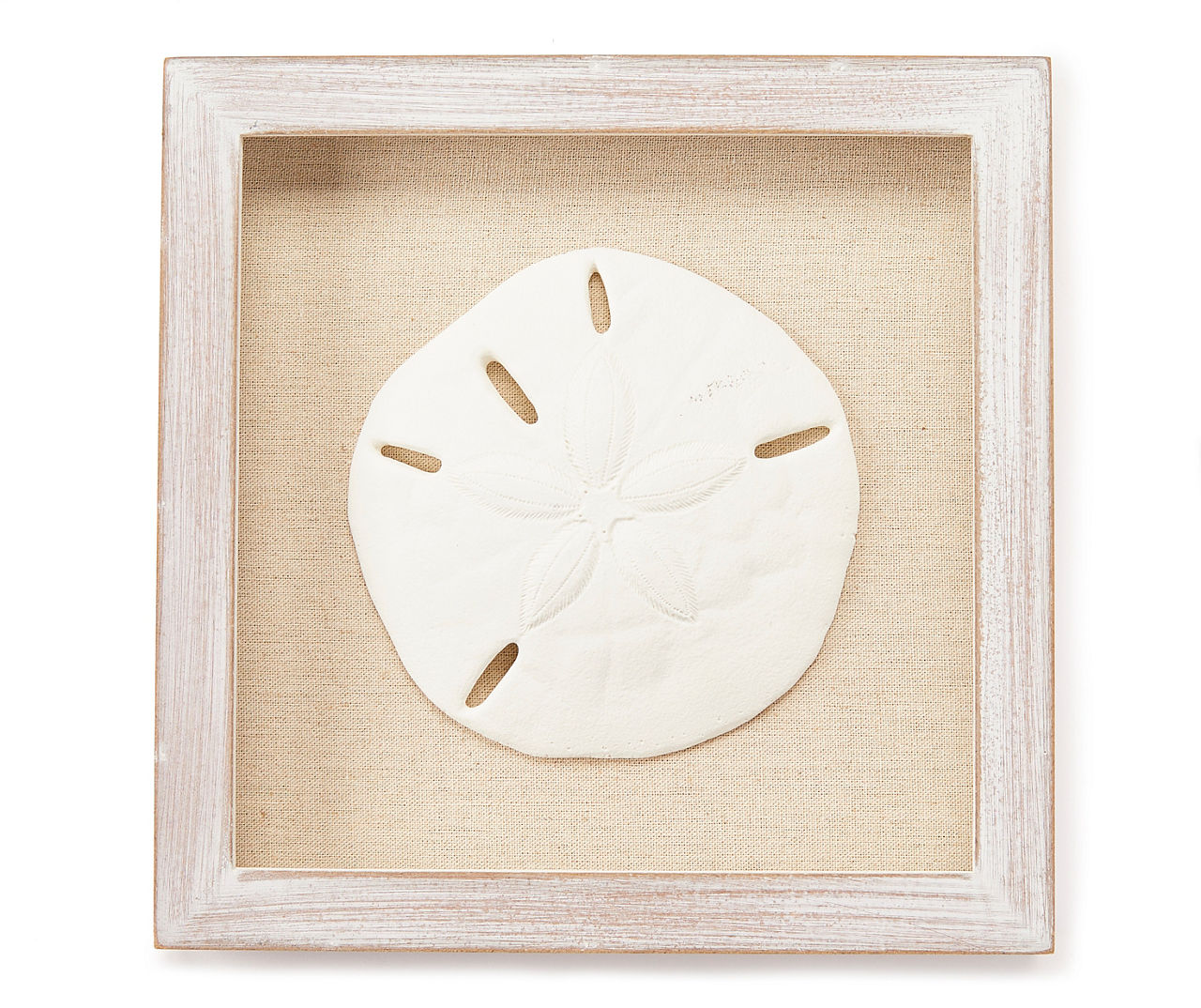 Sand Dollar Framed Plaque | Big Lots