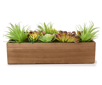 Multi Succulents Wood Rectangle Pot