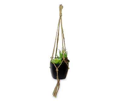 Multi Succulents Hanging Black Pot