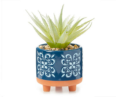 Succulent in Blue Geometric Ceramic Pot