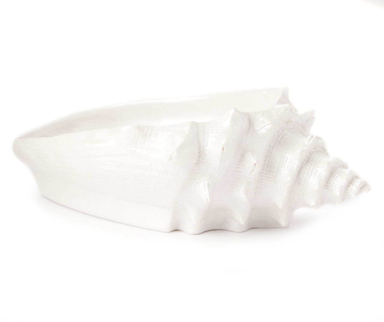 White Seashell Soap Dish Big Lots