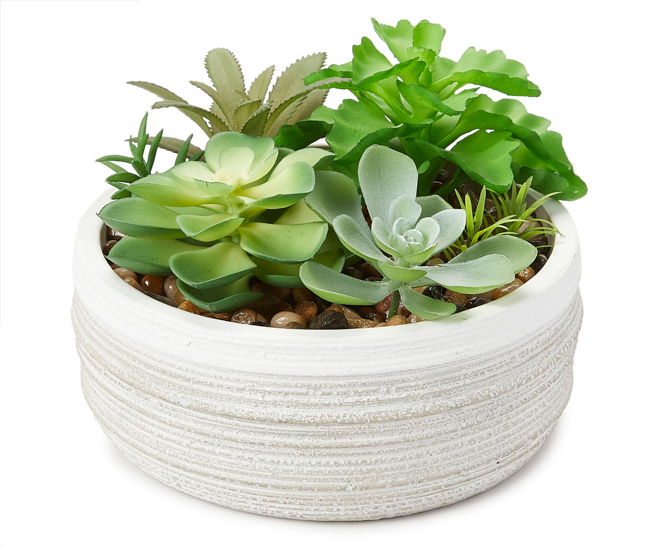 Succulent Garden in Ceramic Pot | Big Lots