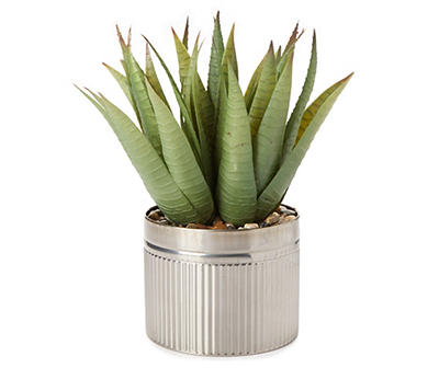 Aloe Plant in Galvanized Metal Pot